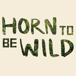 Horn To Be Wild Festival